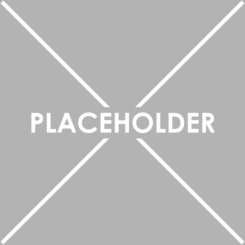 placeholder-graphic-for-temporary-content-95746 placeholder-graphic-for-temporary-content-95746